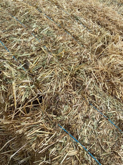 Fardos de feno (aveia, cevada e ervilhaca) / hay bales