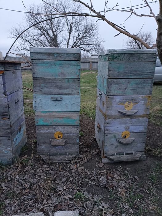 Вулики б/у продам