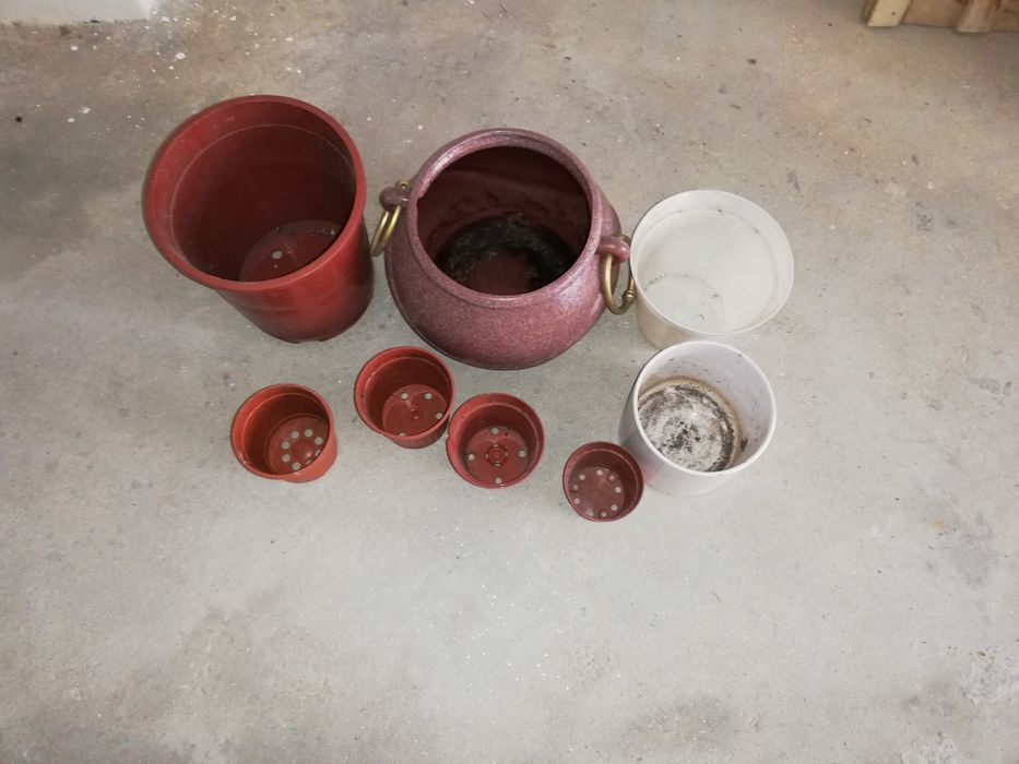Conjunto de 8 vasos