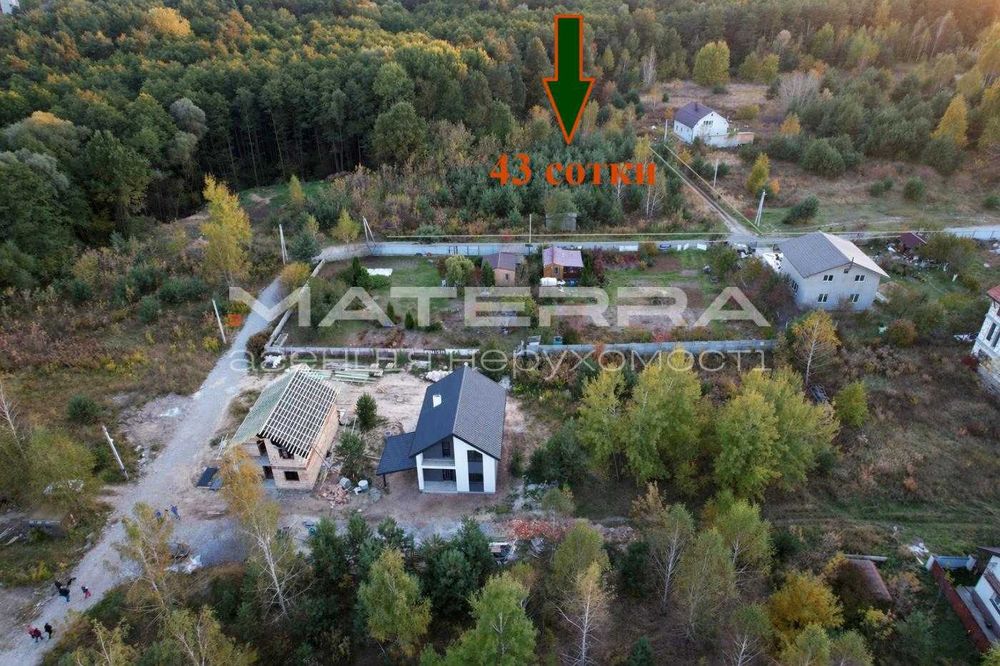 Круглик Продаж ділянки з соснами 43 сотки в оточенні лісу