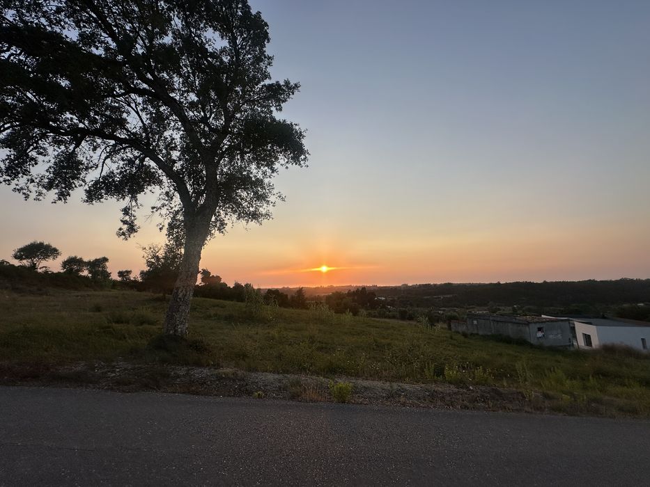 KTM Revelator Lisse Prestige