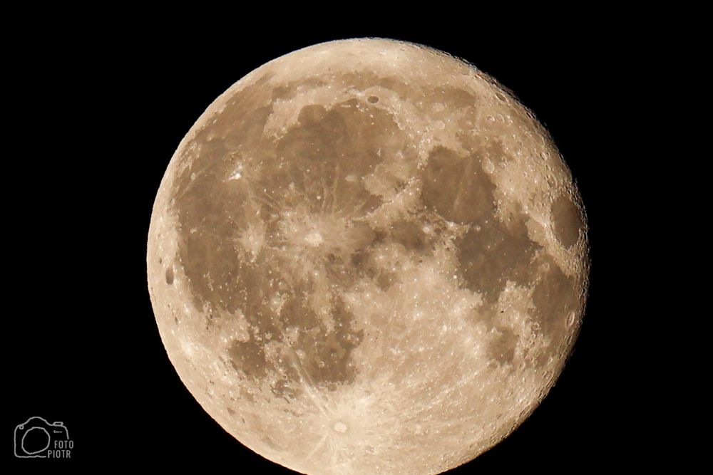 Canon r10+ 100-400mm