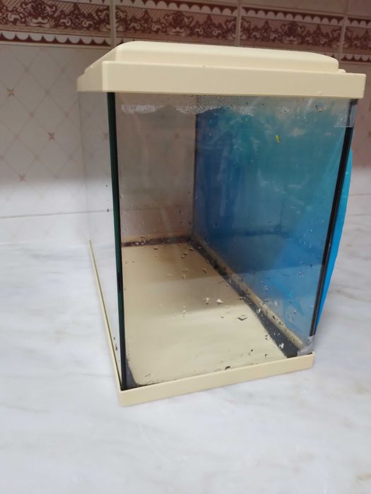 Aquário 20L como novo