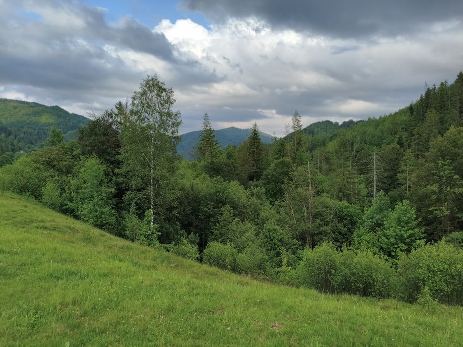Земельна ділянка