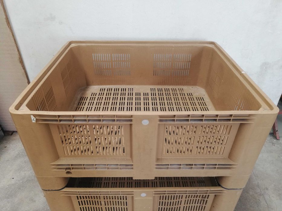 Palotes em muito bom estado