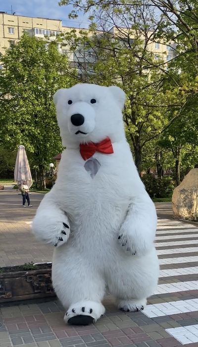 Аніматор Ведмедик, Мишка Аниматор, зайка, стриптизерша, патрон пес