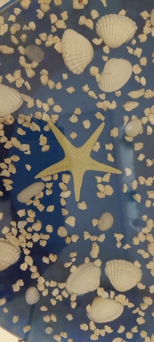 Tampo de sanito c conchas e estrelas embutidos