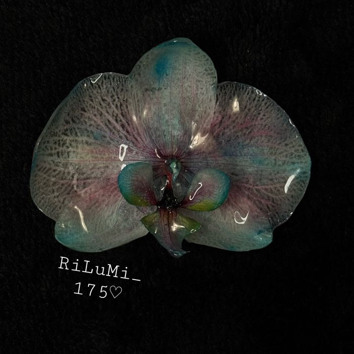 ręcznie robione spinki do włosów ze Storczyków