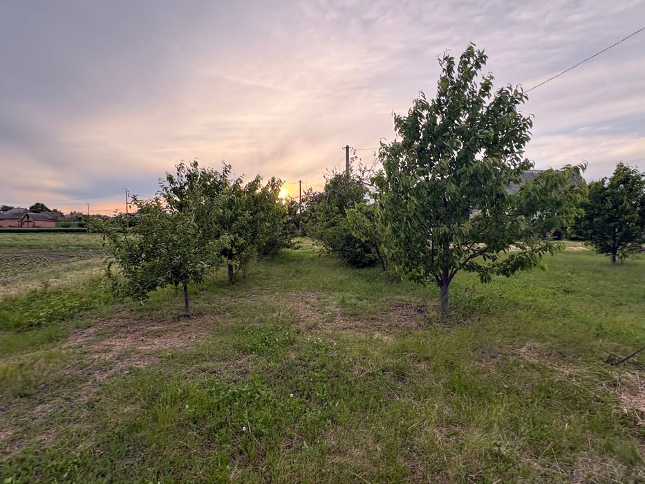 Продаж участку, с. Слобода, Кагарлицький р-н