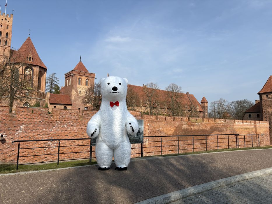 Miś na imprezy – animacje, urodziny, eventy!