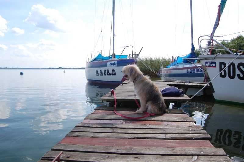 Domek nad jeziorem Powidzkim
