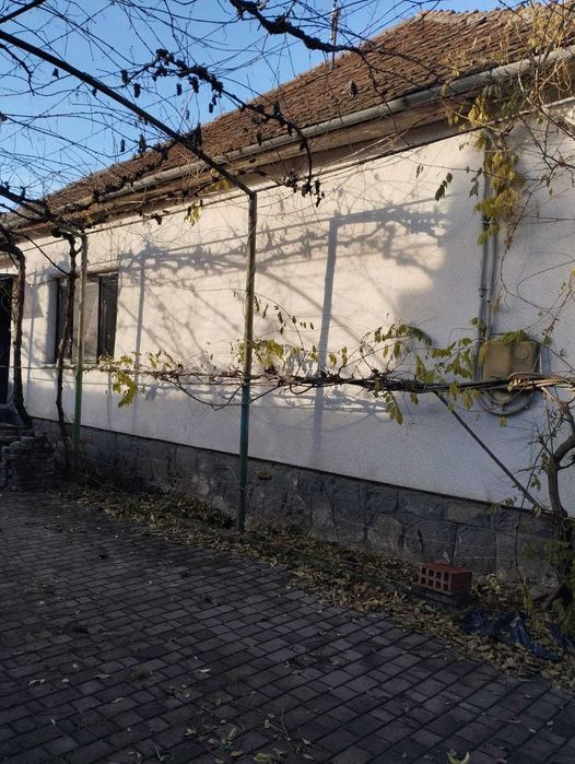 Продам будинок 100 м² у с. Великі Береги, 6 км від Берегова — 55 000 $
