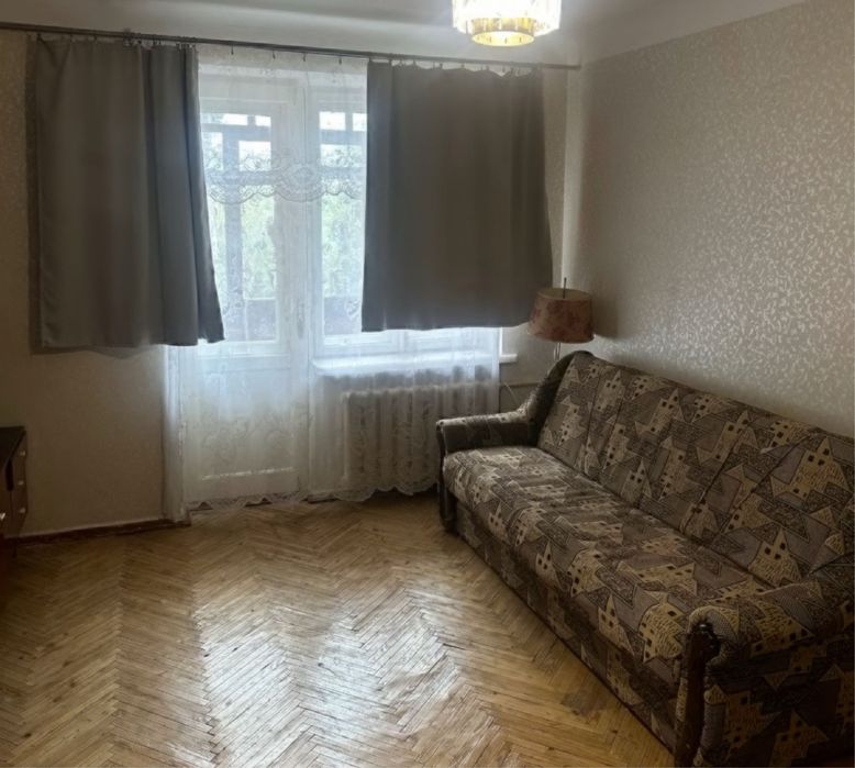 Центр 1 кімнатна 2-3 бюдини на місяць/тиждень Можна з тваринами