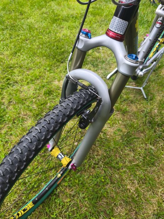 Rocky Mountain Instinct Vintage