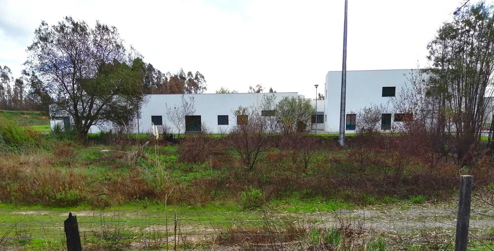 Terreno Rústico 600m2 na Branca