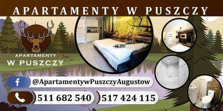 Apartamenty w Puszczy + rowery