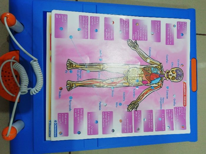 Enciclopédia interativa Clementoni