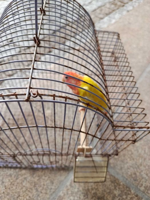 Encontrasse para cedência