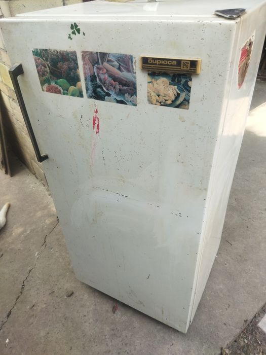 Холодильник днєпр і біірюса2