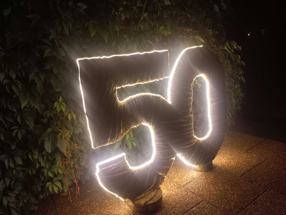 50 Cyfra dekoracyjna z ledami