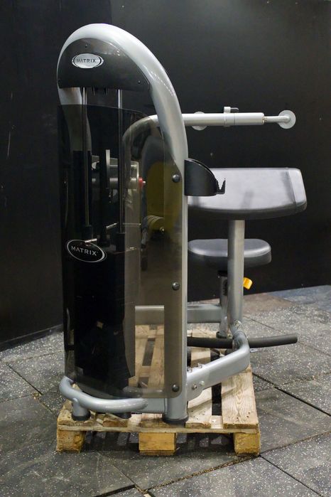 Matrix G3-S45 Triceps Extension