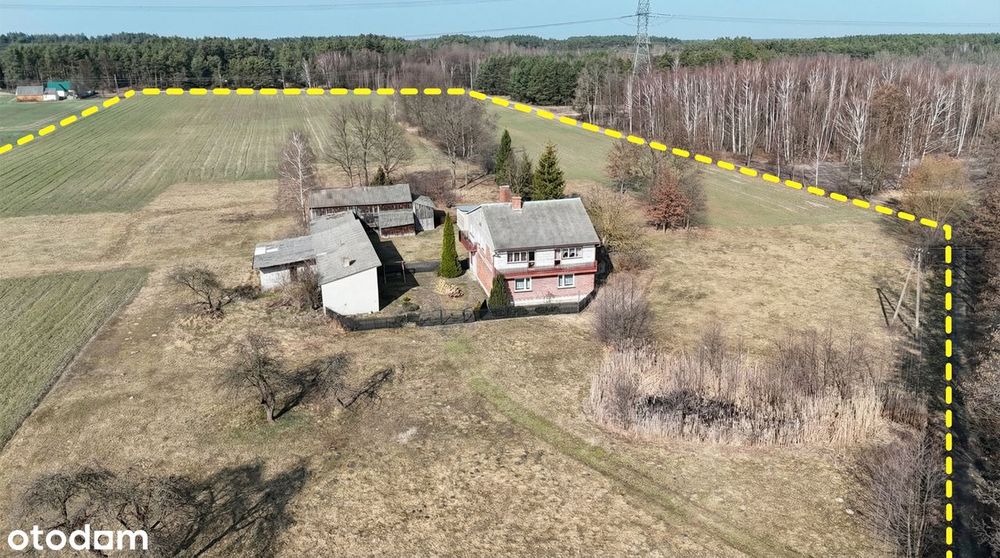 Gospodarstwo Rolne | Borki Walkowskie | Gm.osjaków