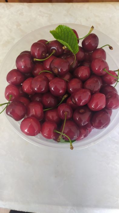 Продам черешні домашні солодкі великі без білка .
