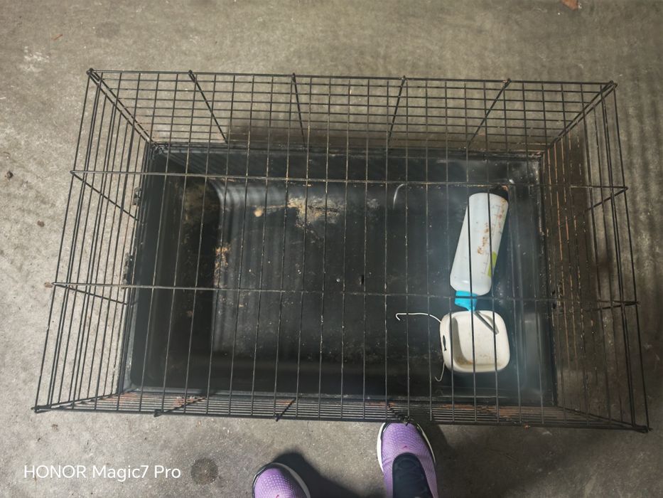 Gaiola para coelho anão