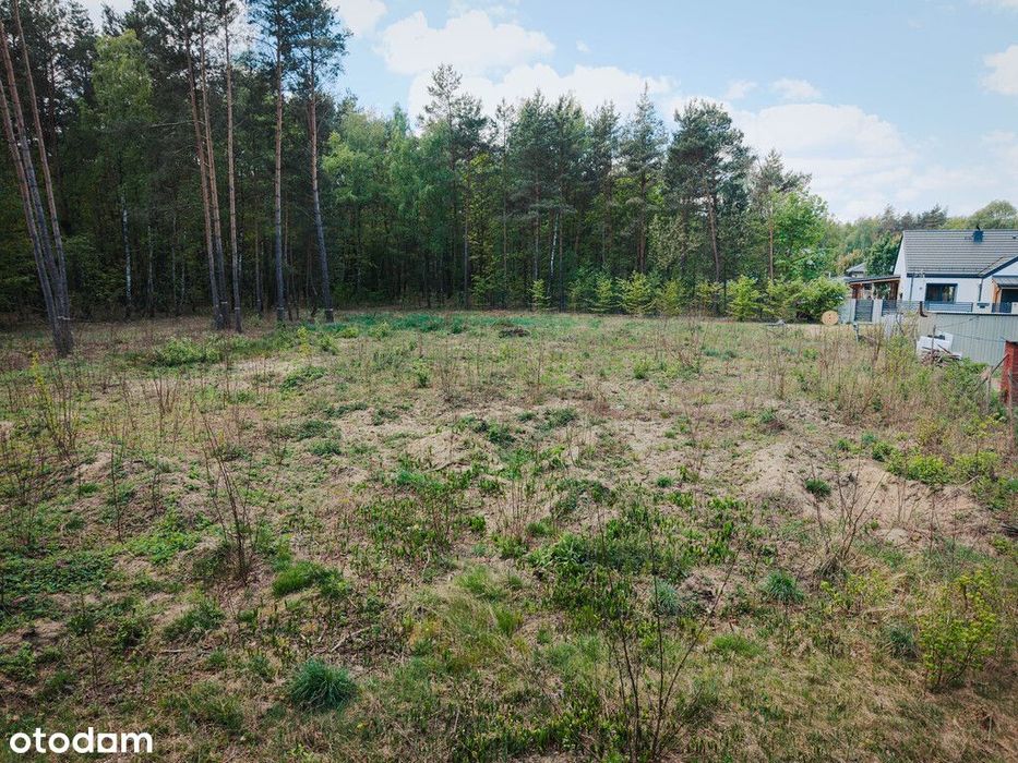 Działka 1625 m² w spokojnej okolicy Głowna - Widok 4