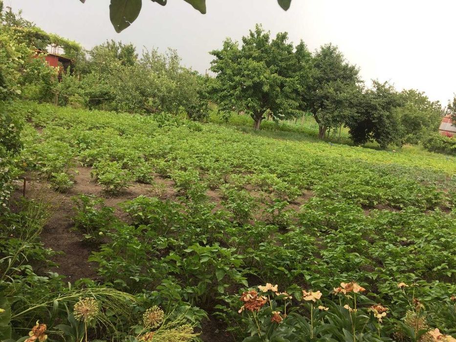 Продам дачу Садове товариство "Висотник" Довгинцівський район