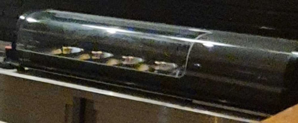 Montra de frio para sushi