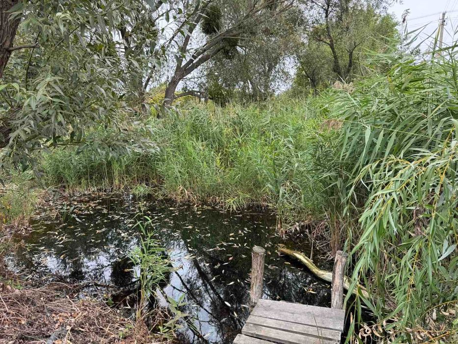 Райська дача з власним виходом до річки біля Чехівки!