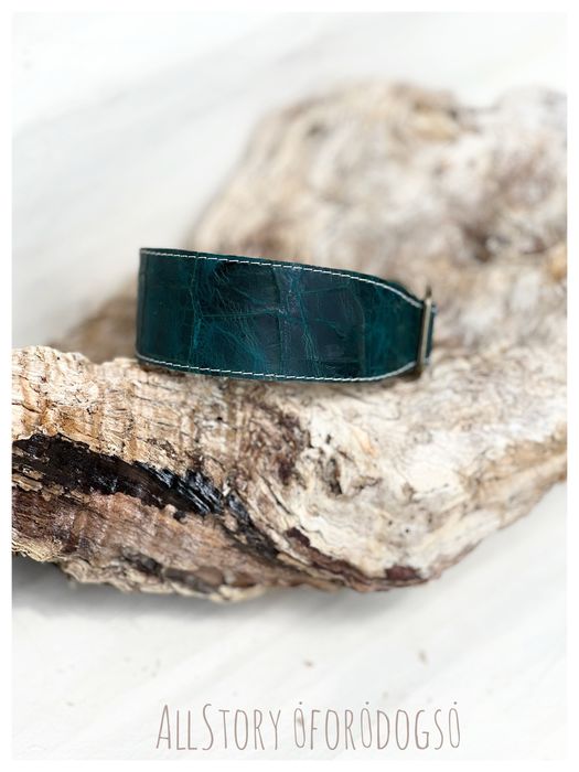 Skorzana obroza  dla charta