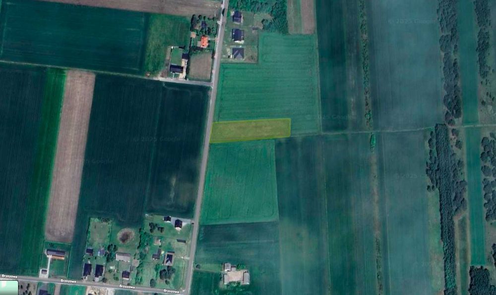 Budowlana działka z potencjałem! 0,32ha, Dąbrowa, gm. Sulmierzyce