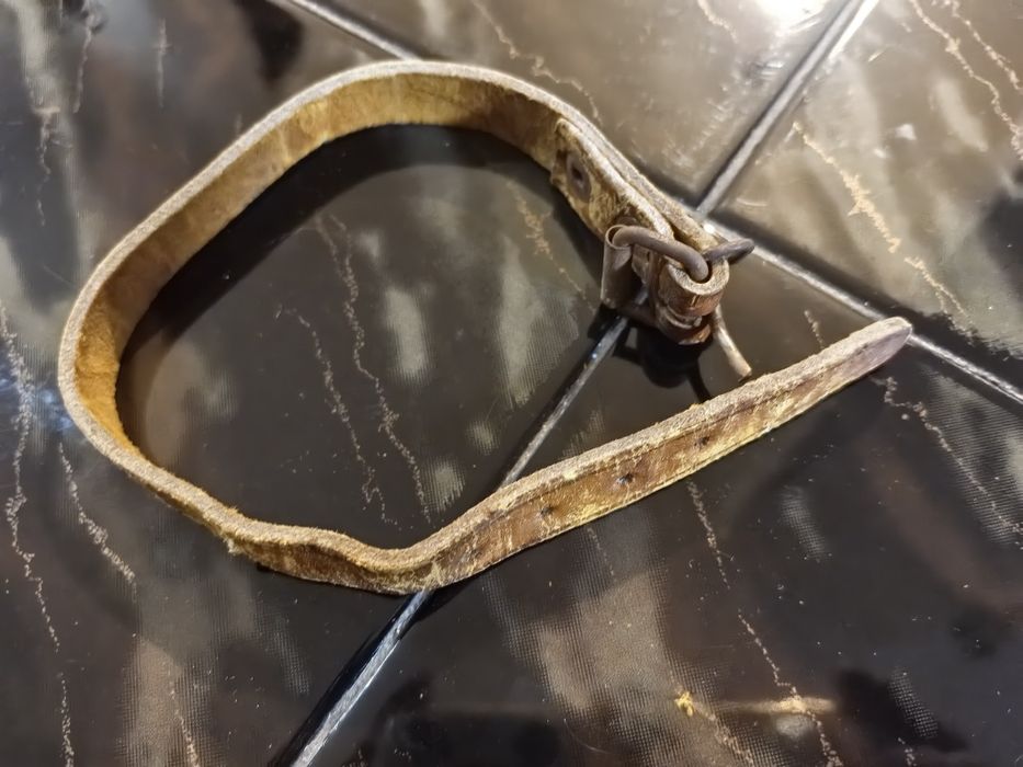 Obroża skurzana 24-31cm.