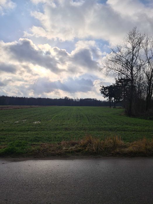 działka rolno-budowlana