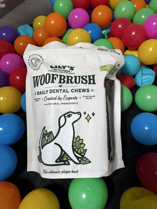 Snack Dental Lily’s Kitchen Woofbrush – Novo
