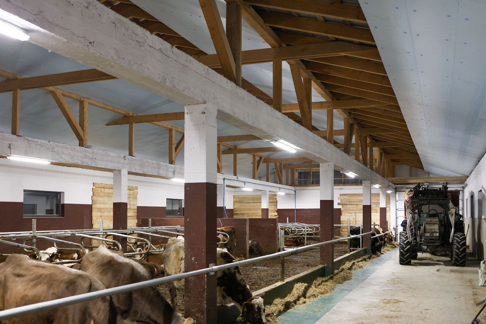 Błękitne Panele Izolacyjne Płyty Styrodur XPS AGRO 4,5,6,8,10,12 cm