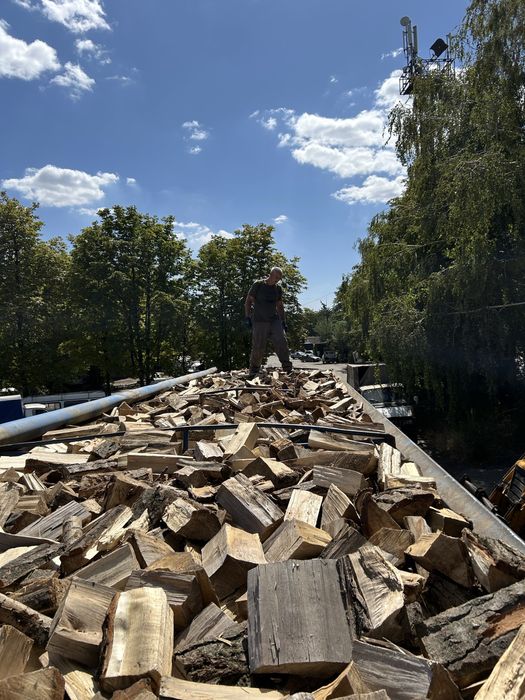 Дрова тополь опт