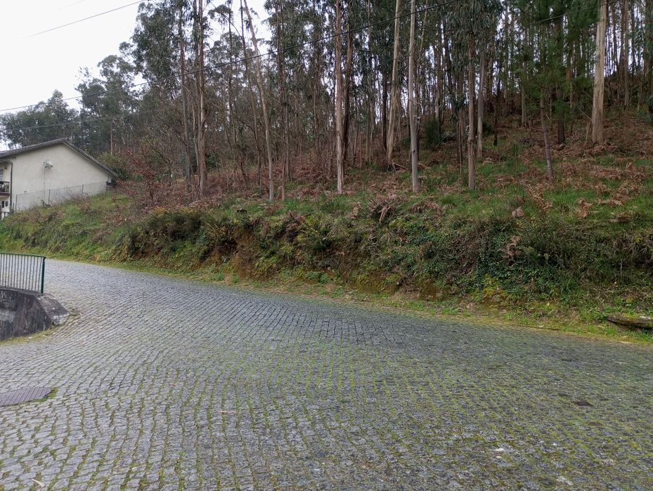 Terreno com viabilidade de construção
