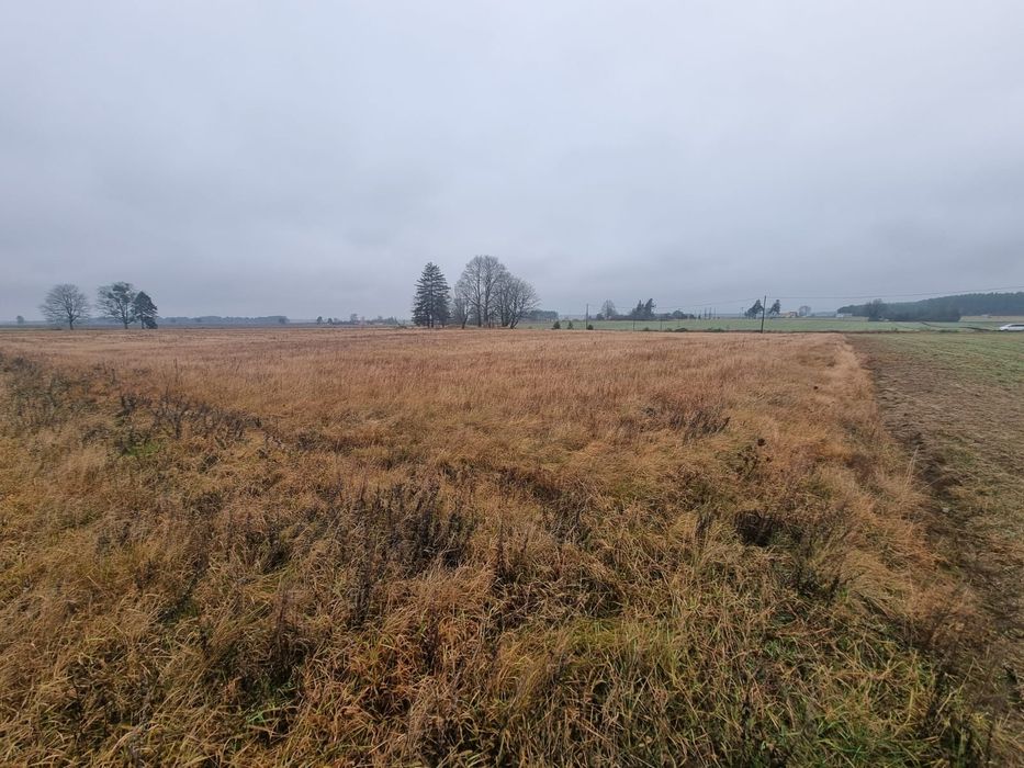 Wydzierżawię grunt rolny