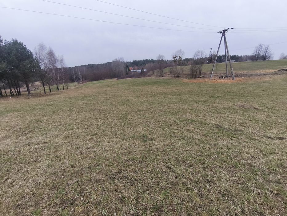 Działka budowlana Krynice