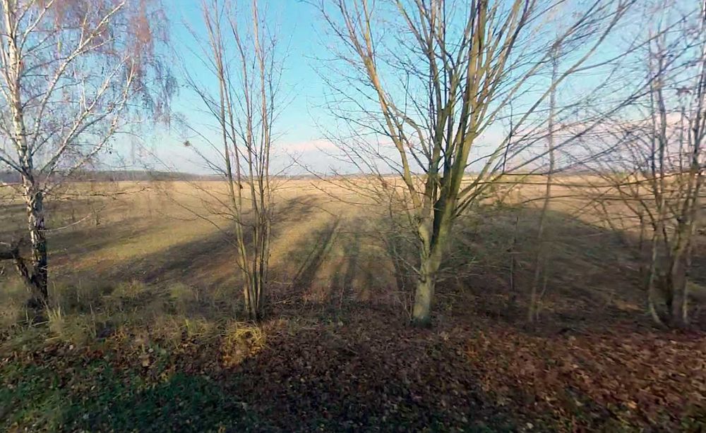 Ділянка під забудову, 25 соток. с. Старе, Бориспільський район