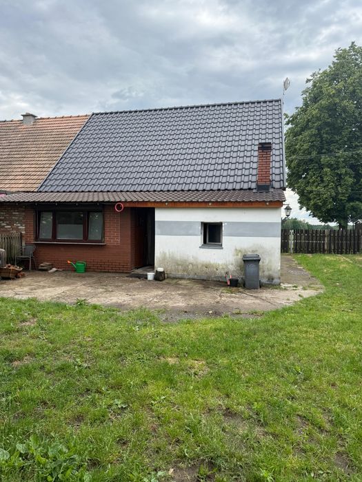 Dom, mieszkanie ogród