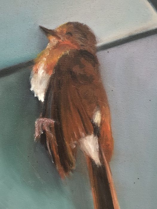 Obraz olejny "Rudzik" 30x40cm