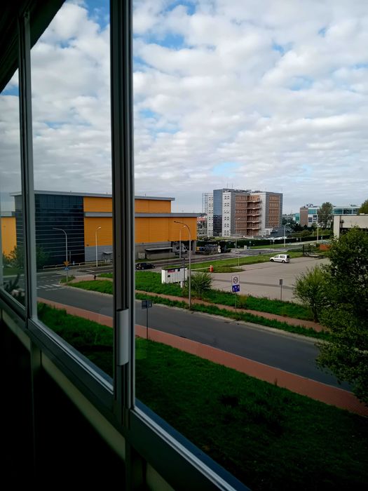 Zdjęcie 8
