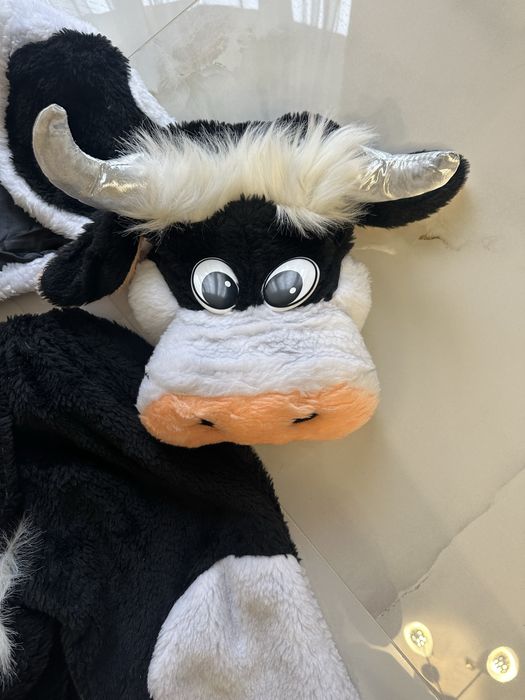 Костюми карнавальні на прокат, багато різних варіантів