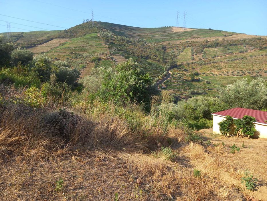 Terreno Rústico - Vacalar, Armamar