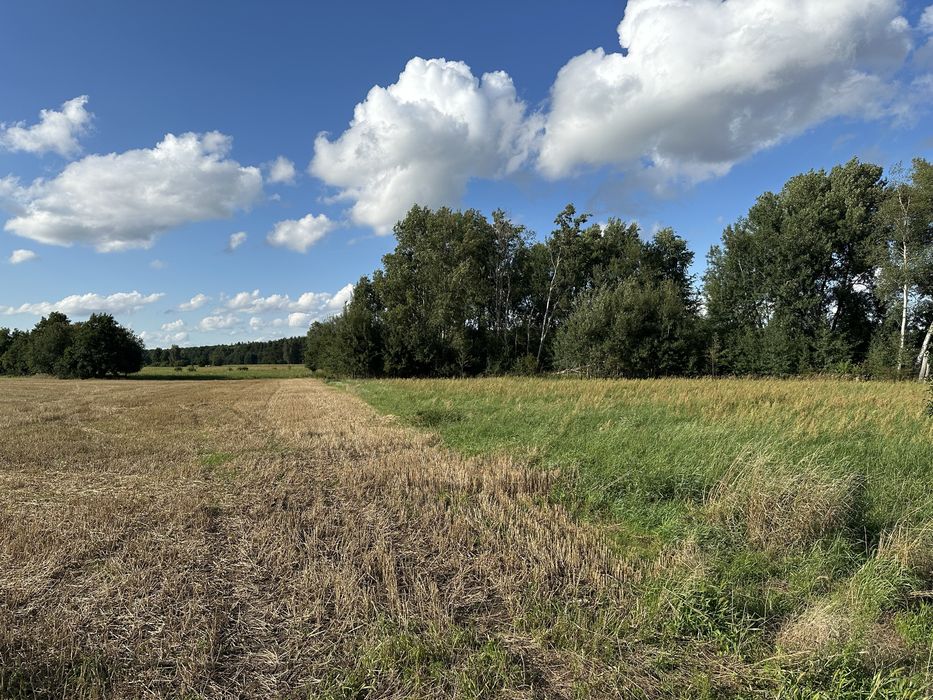 Działki budowlane na sprzedaż Świniary Borowna - View 2
