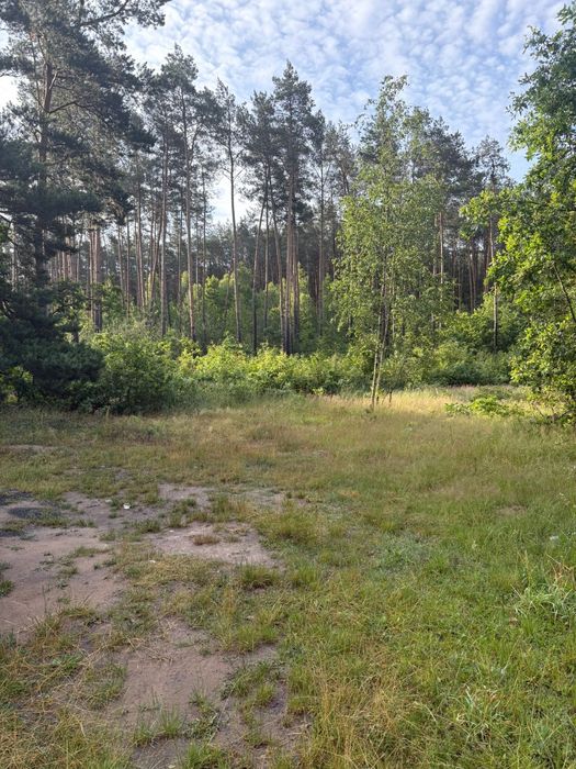 Sprzedam działkę budowlaną Wyśmierzyce